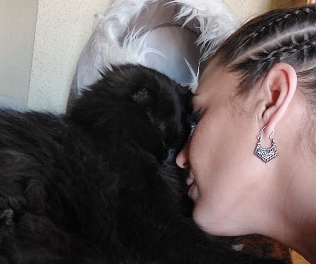 la gatopia de miriam
