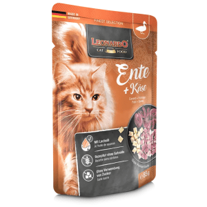 Pato + Queso leonardo