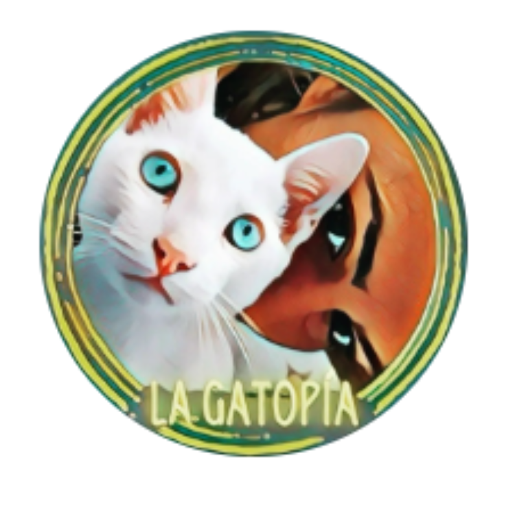 la gatopia de miriam