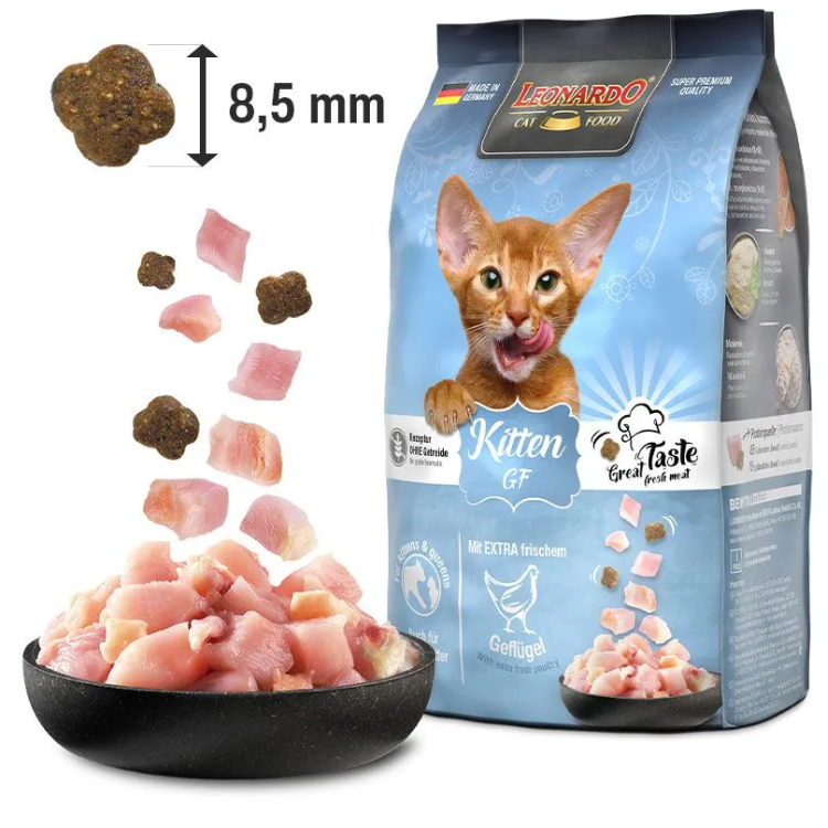 pienso kitten gf leonardo