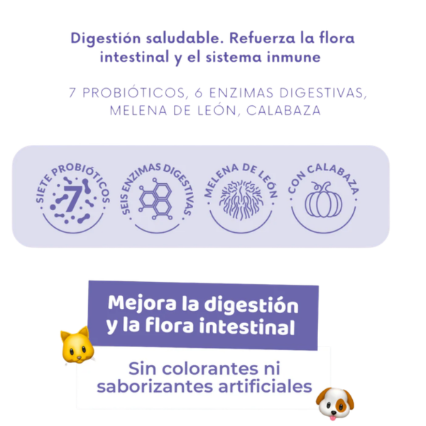 probiotico doog life