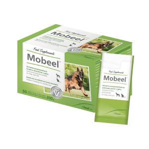 mobeel