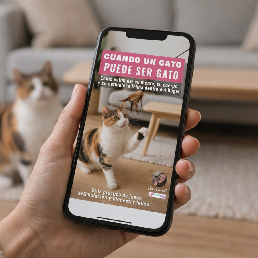 cuando un gato puede ser gato guia pdf