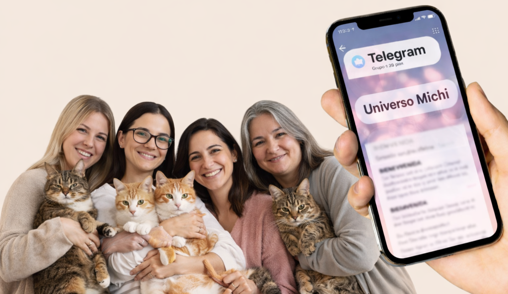 Telegram Universo Michi