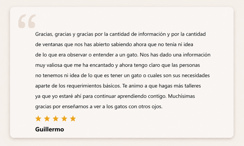 reseña taller cuando un gato puede ser gato