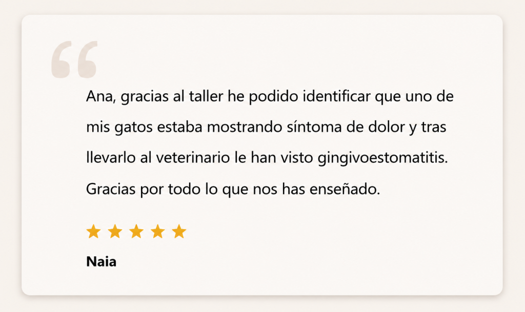 reseñas del taller