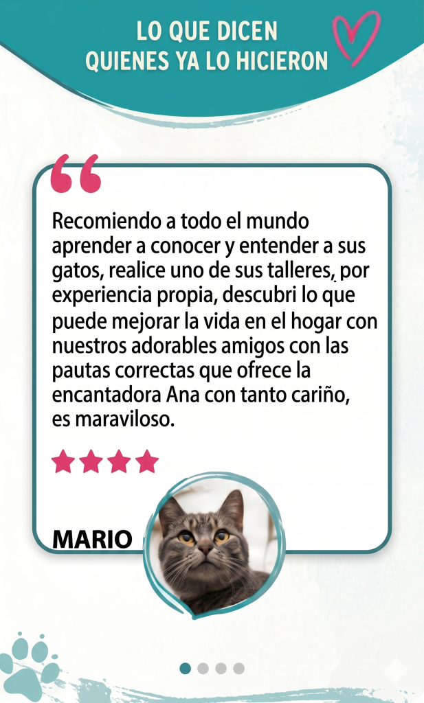 reseña taller gestión felina