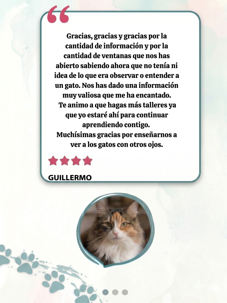 taller gestion emocional felina