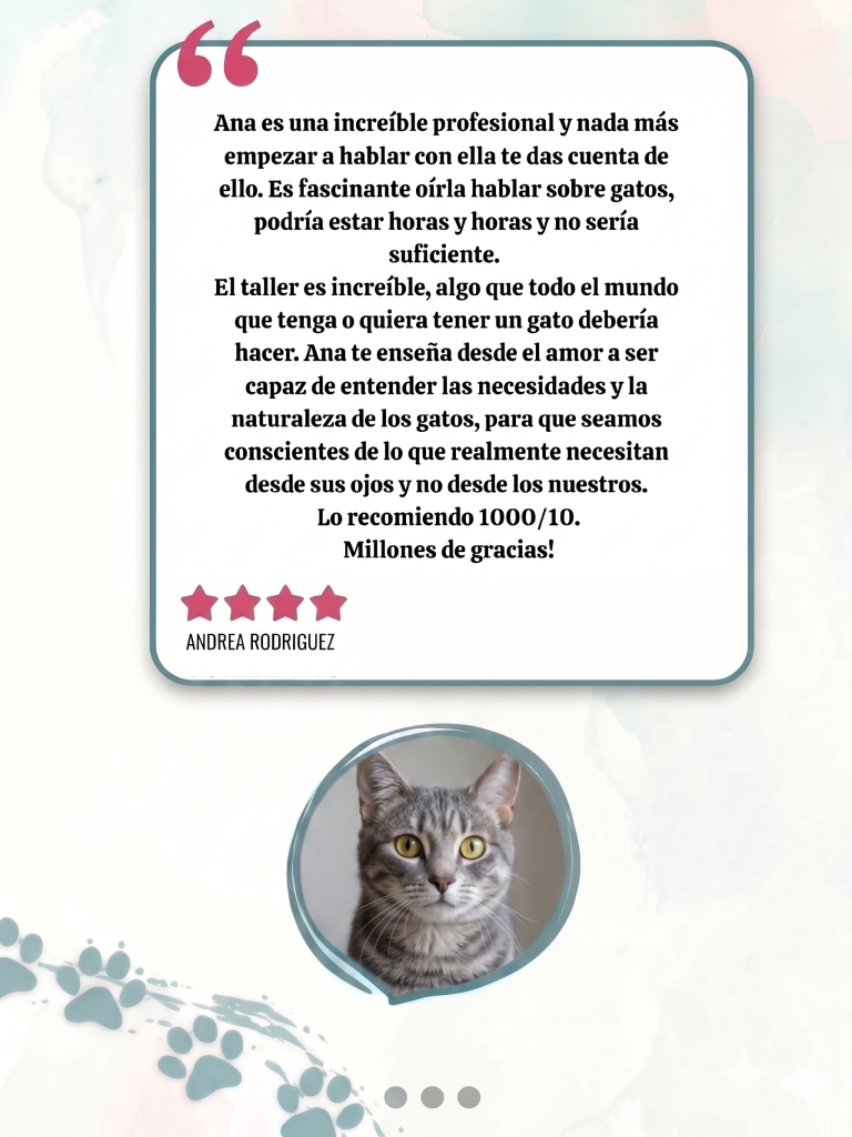 gestion emocional felina