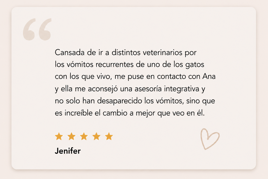 reseña consulta felina