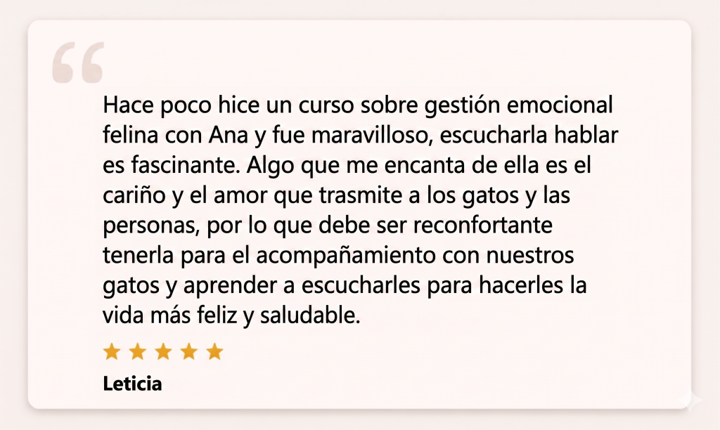reseña leticia