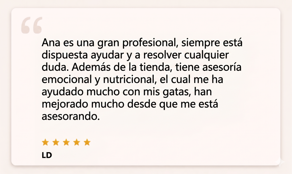 reseña lourdes
