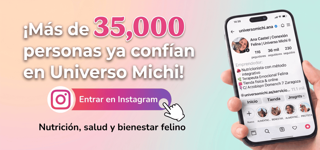 Instagram Universo Michi