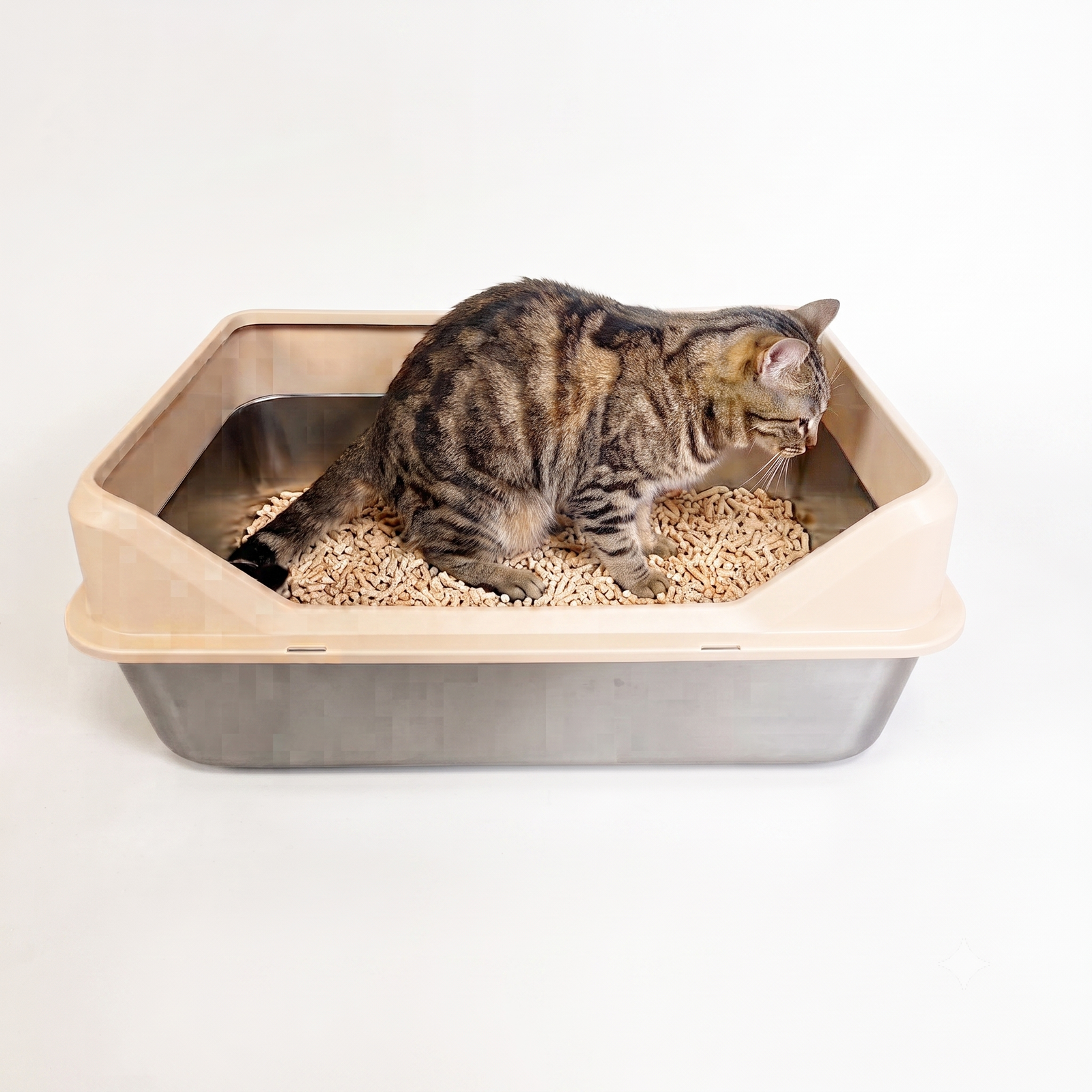 sistema urinario felino