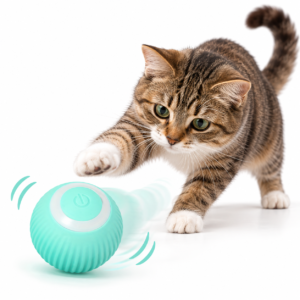 pelota interactiva gato